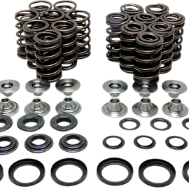 Valve Spring Kit