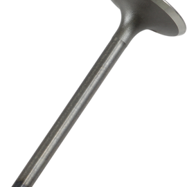Intake Valve