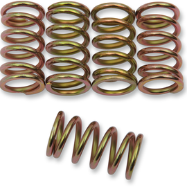 Clutch Springs