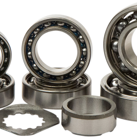 Transmission Bearings