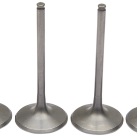 Valve Kit