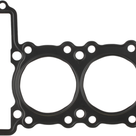 Head Gasket - EX250E/F