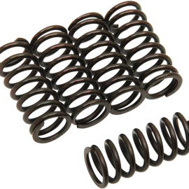 Clutch Springs