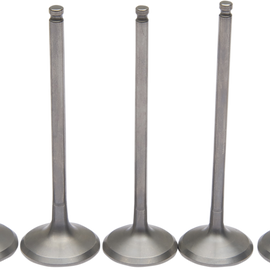 Valve Kit