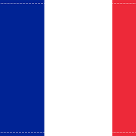 France Flag - 6" x 9"