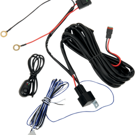 Wiring Harness with Switch