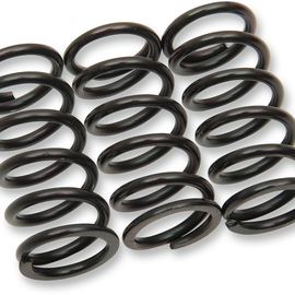 Clutch Springs