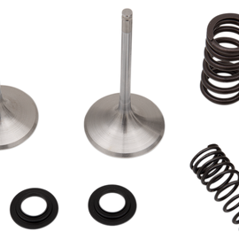 Intake Valve Kit