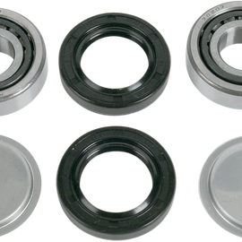 Swingarm Bearing Kit