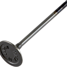 Exhaust Valve