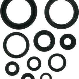 Motor Seals - CRF450R