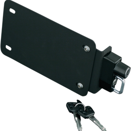 License Plate Mount - with Lock