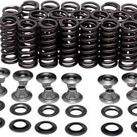 Valve Spring Kit