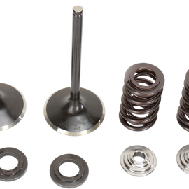 Intake Valve Kit