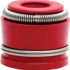 Valve Seal Kit
