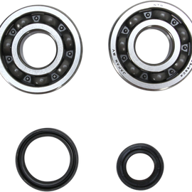 Crank Bearing and Seal Kit