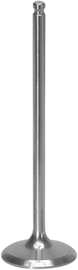 Intake Valve