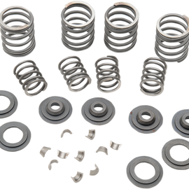 Valve Spring Kit - Big Twin