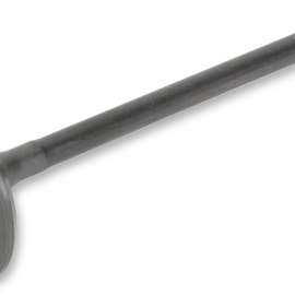 Intake Valve