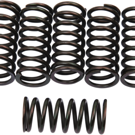 Clutch Springs