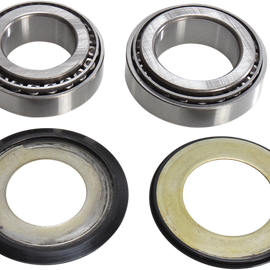 Steering Stem Bearing Kit