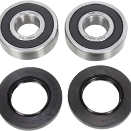 Wheel Bearing Kit - Rear