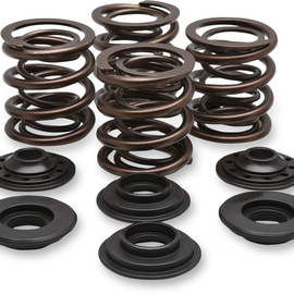 Valve Spring Kit - Big Twin50821127