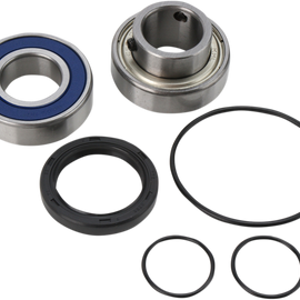 Chain Case Bearing and Seal Kit