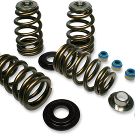 Valve Springs - Twin Cam