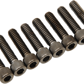 Kit de Tornillos M8 de la Base de las Varillas de Empuje - Negro