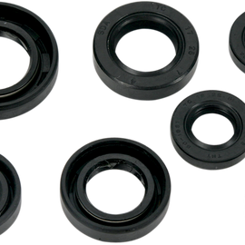 Motor Seals - TLR200/XR200R