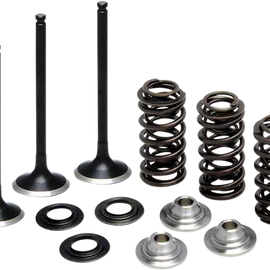 Valve Spring Kit