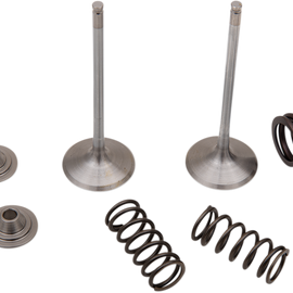 Intake Valve Kit