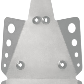 Swingarm Skid Plate - Raptor