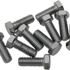 3/8"-16 X 3/4" Chrome Hex Head