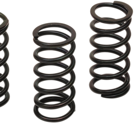 Clutch Spring Kit