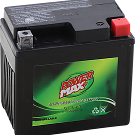 Battery - YTX5L-BS
