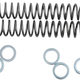 Fork Springs - 0.32 kg/mm