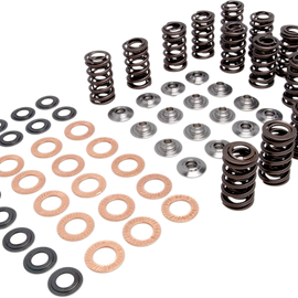 Valve Spring Kit