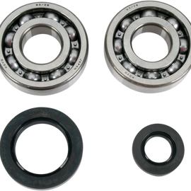 Crankcase Bearing and Seal Kit