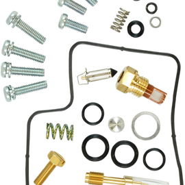 Economy Carburetor Repair Kit