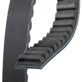 Belt Drive - Premium - 818x19x28